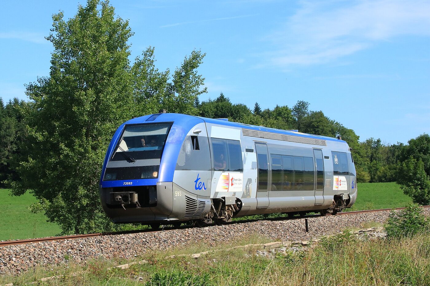 Un TER bleu de la ligne des Hirondelles circule entre Andelot et Vers-en-Montagne
